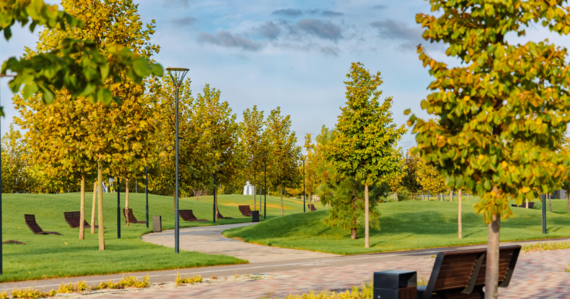 Микрорайон Родные Просторы 22 картинка